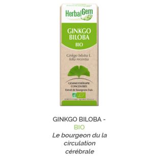 Herbalgem -  GINKGO BILOBA - BIO Le bourgeon du la circulation cérébrale Gemmothérapie concentré - 30 ml