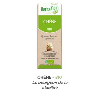 Herbalgem -  CHÊNE - BIO Le bourgeon de la stabilité Gemmothérapie concentré - 30 ml