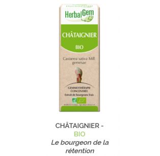 Herbalgem -  CHÂTAIGNIER - BIO Le bourgeon de la rétention Gemmothérapie concentré - 30 ml