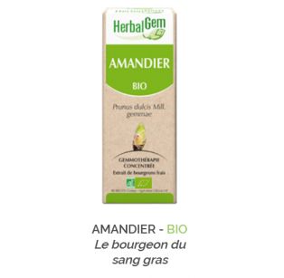 Herbalgem -  AMANDIER - BIO Gemmothérapie concentré - 30 ml